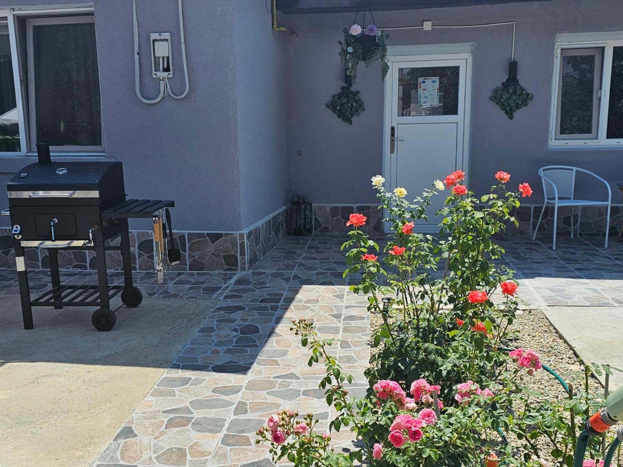 The Purple House-villa In