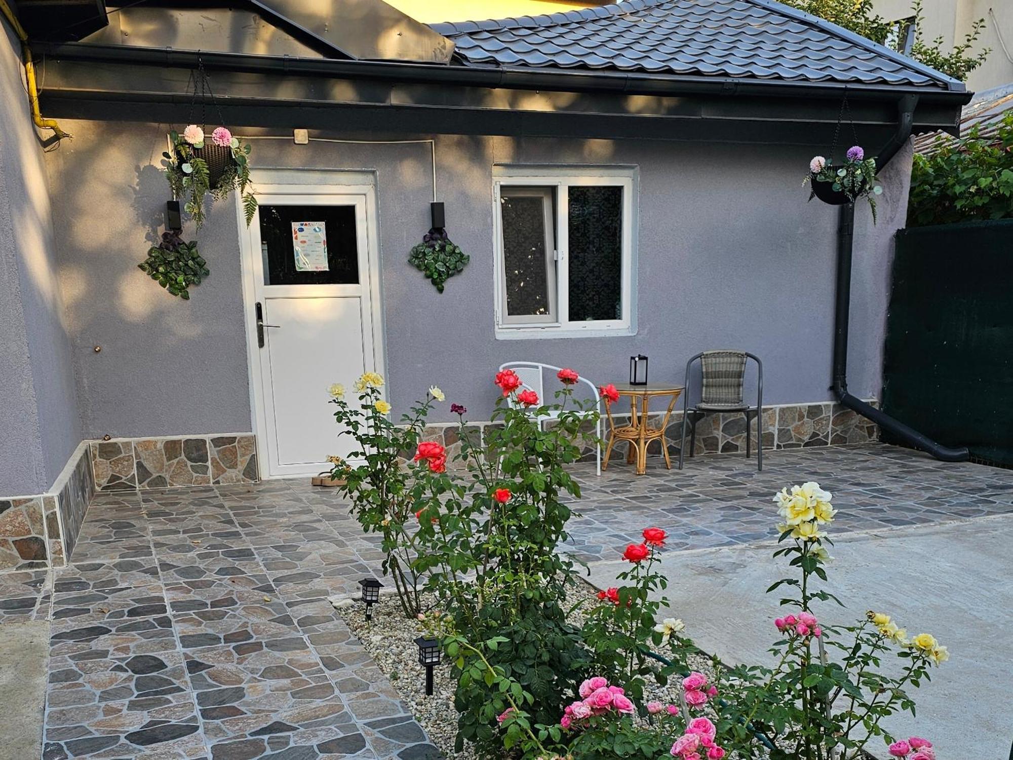 The Purple House-villa In Vilă